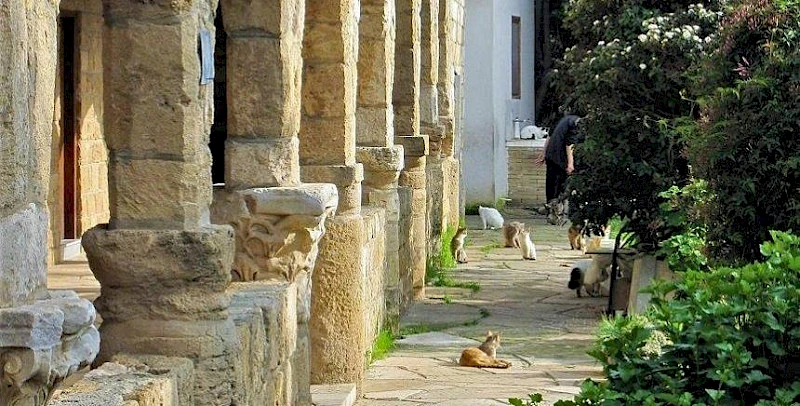 Кошачий монастырь на Кипре