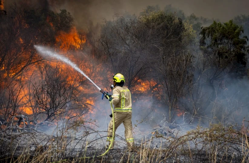 Waldbrand in Israel