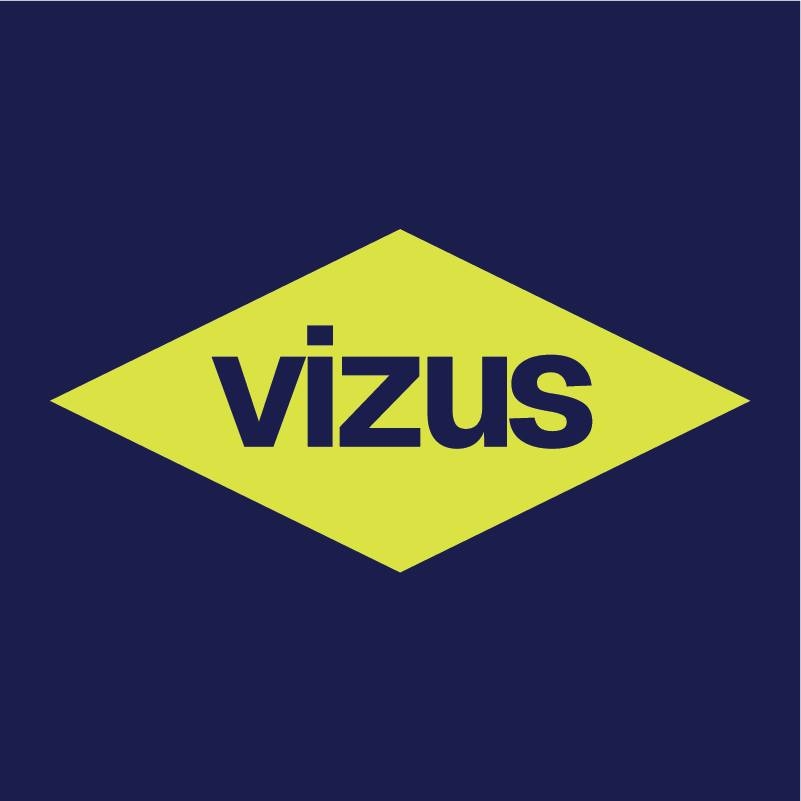VIZUS GROUP