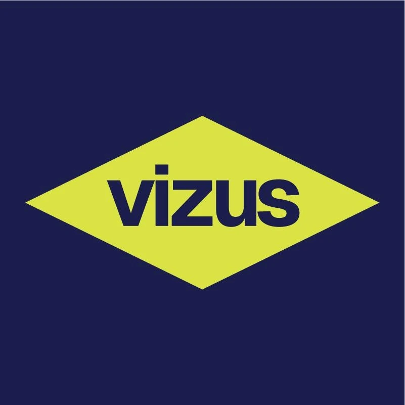 VIZUS GROUP